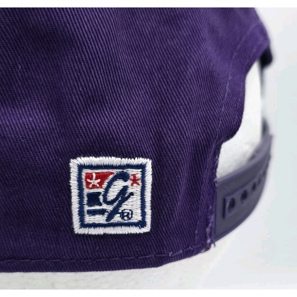 NEW LSU Tigers Retro Circle Snapback Hat - SnapBack‎ Purple The Game - Picture 7 of 10